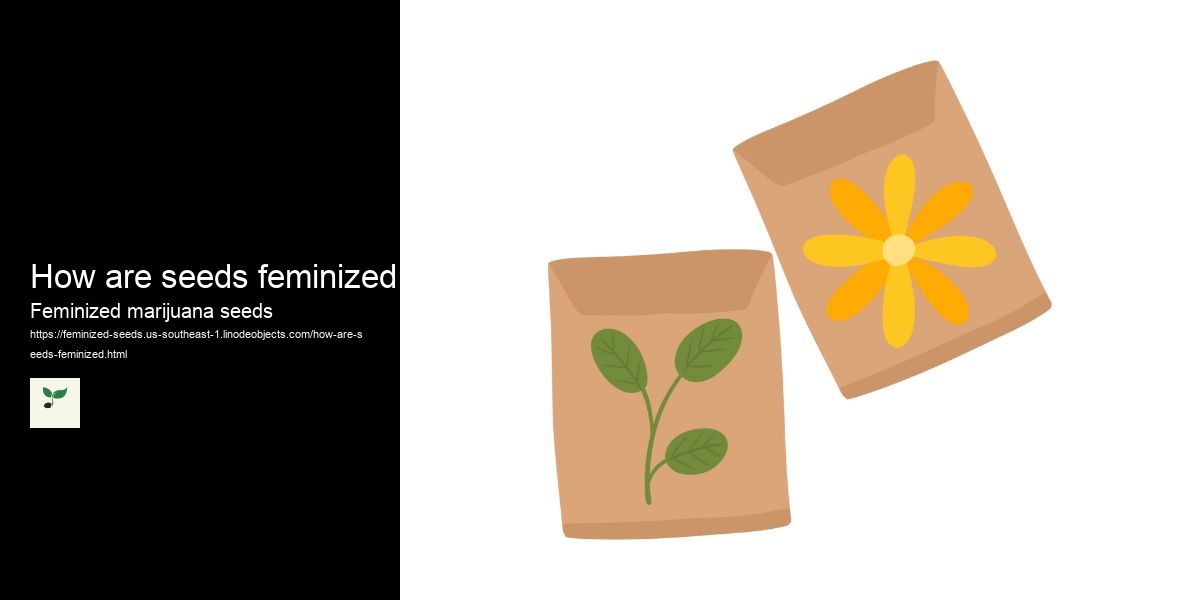 How are seeds feminized