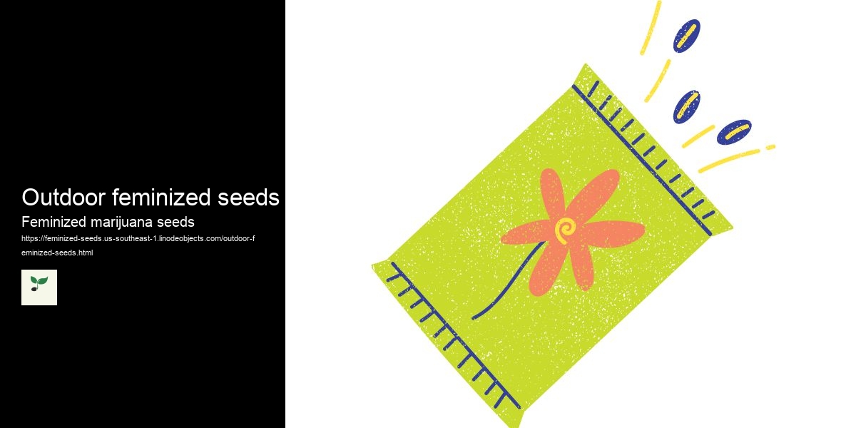 Outdoor feminized seeds
